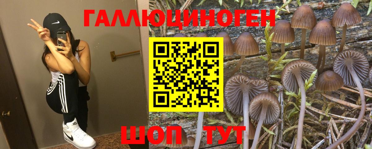 Псилоцибиновые грибы Magic Shrooms Бахчисарай