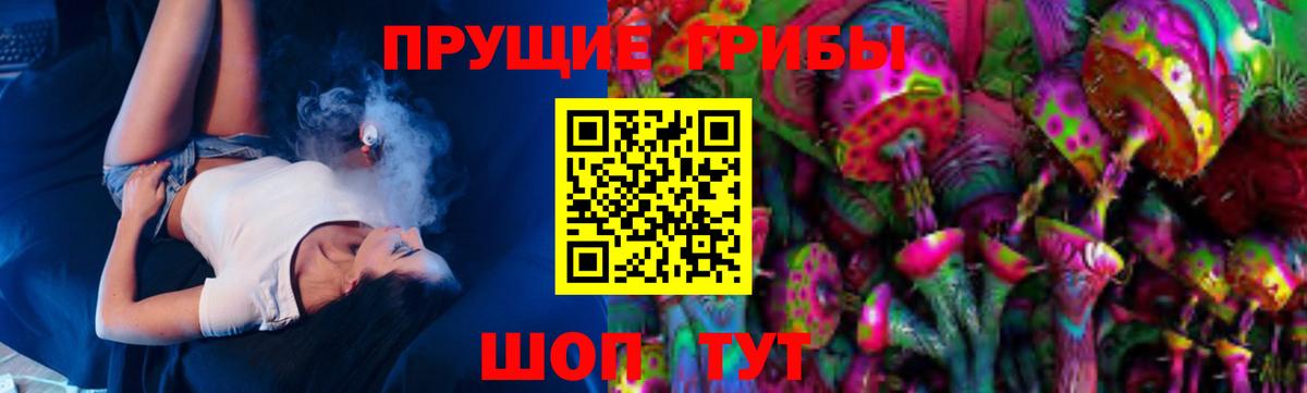 Бахчисарай  Псилоцибиновые грибы Cubensis  Вход с VPN 